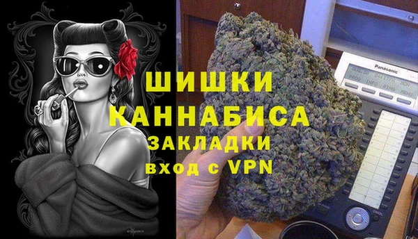 стаф Балахна